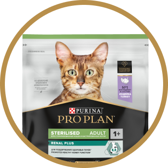 Hrana pentru pisici sterilizate cu afectiuni renale