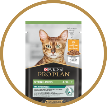 Hrana de intretinere pentru pisici sterilizate