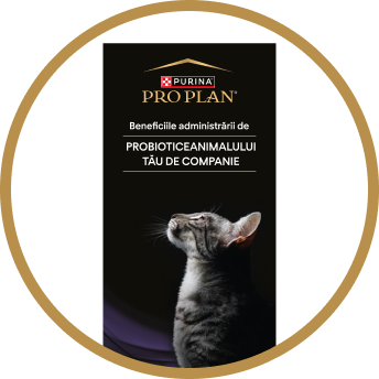 Purina PRO PLAN - probiotic pisici