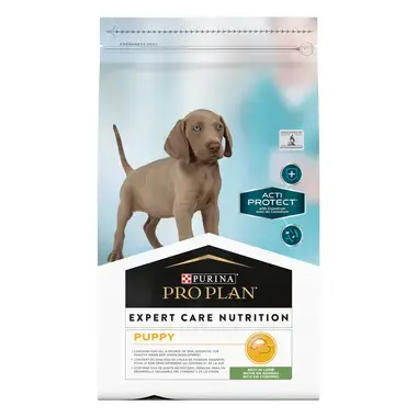 PURINA PRO PLAN PUPPY EXPERT CARE NUTRITION Junior Toate Taliile Miel hrana uscata caini