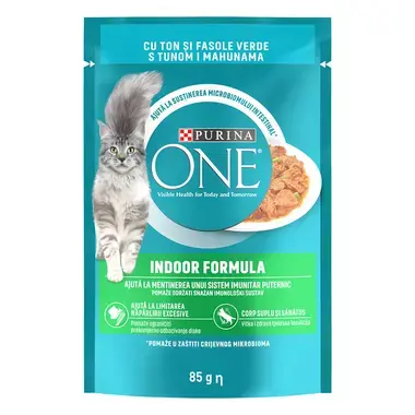 PURINA ONE INDOOR TonFasole Verde