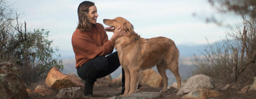 Golden Retriever cu proprietara pe un traseu montan