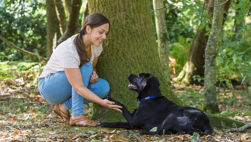 Femeie ghemuită cu câinele lângă un copac