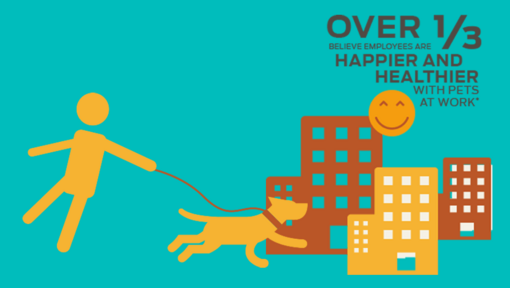 Peste 1/3 consideră că angajații sunt mai fericiți și mai sănătoși cu animalele de companie la locul de muncă