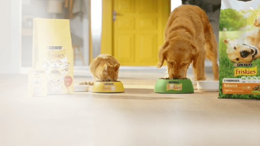 Cele 5 Promisiuni Friskies® | Purina