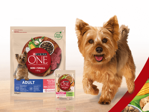 Purina one caine terrier