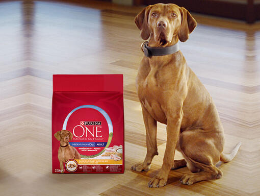  Purina ONE Medium Max bloc