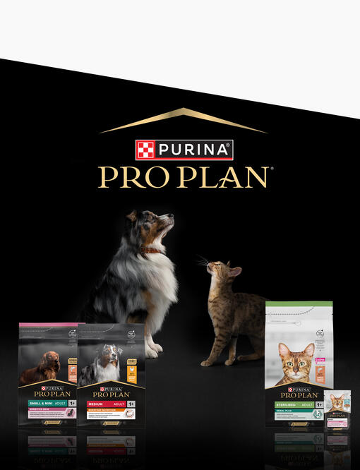 Purina Pro Plan 